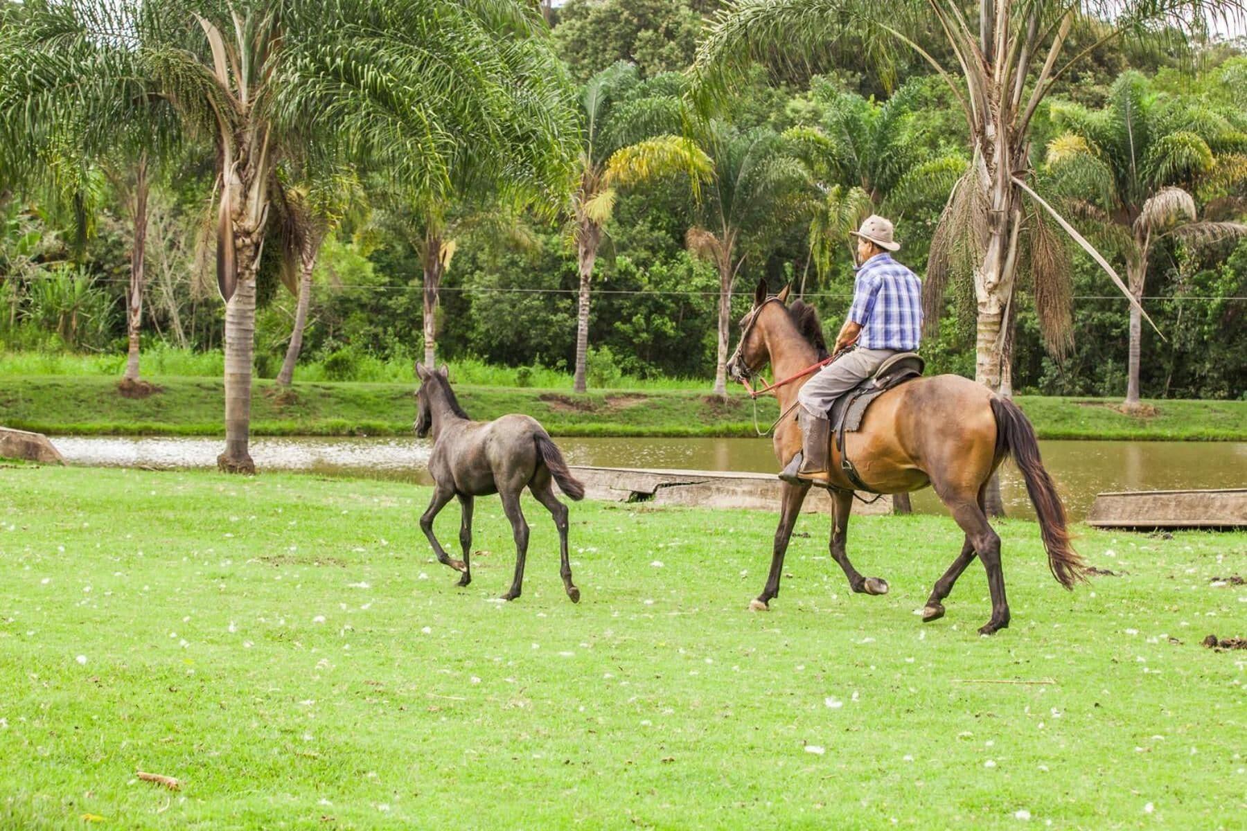 Gimnasio Hotel Fazenda Igarapés