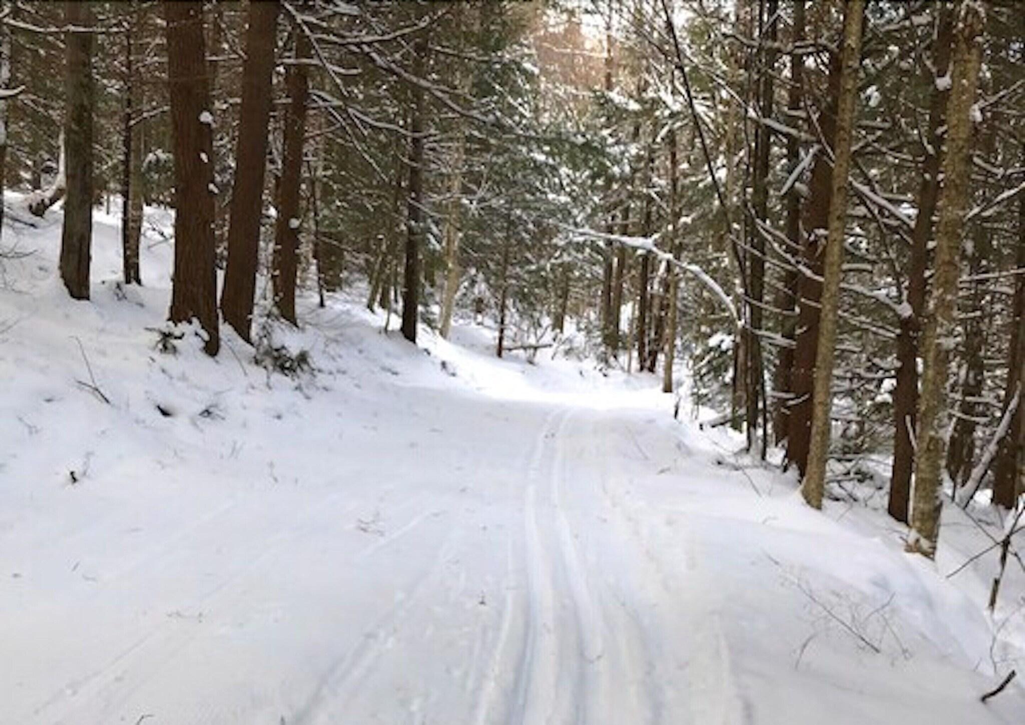 Instalaciones Recreativas Birchwood Inn