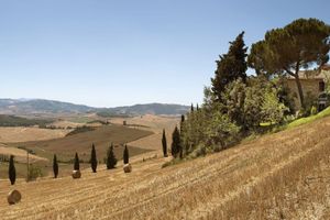 Alojamiento - Agriturismo Il Colombaiolo