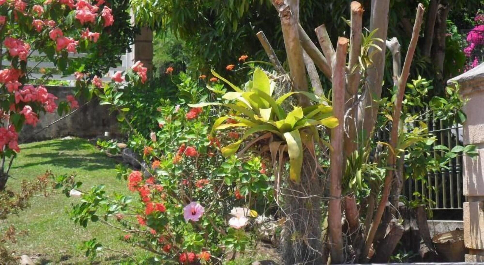 Equipamiento de Habitación Idilo Escape