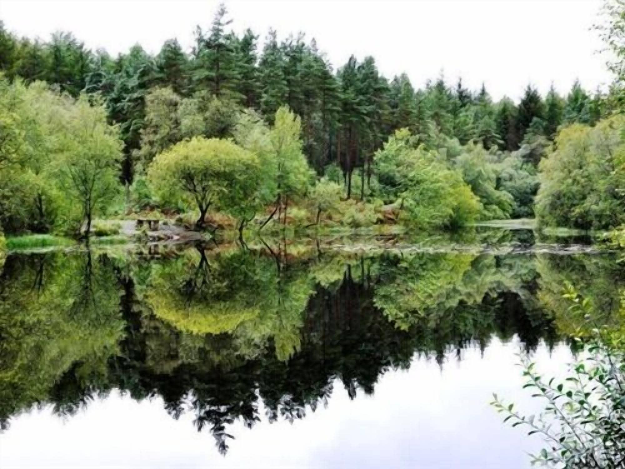 Comodidades del Alojamiento The Cross Keys Hotel