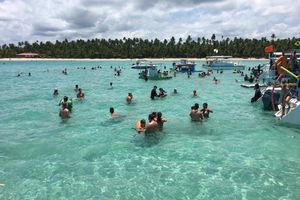 Actividad - Excursion a la playa de Maragogi - Desde Porto de Galinhas
