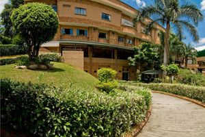 Alojamiento - Hotel Palmera Real