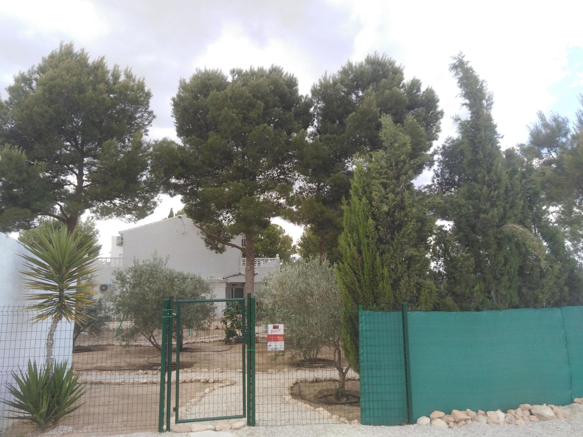 Vista Exterior Alegría