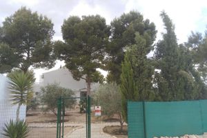 Alojamiento - Alegría