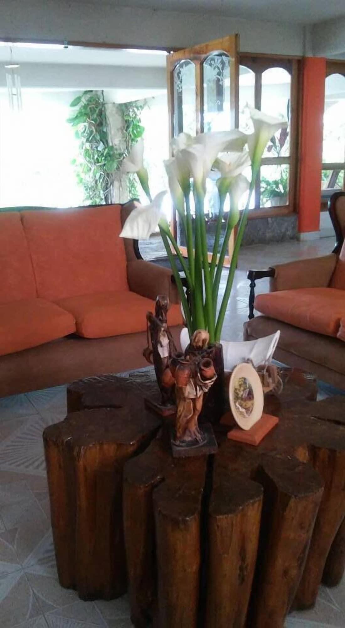 Vista Lobby Hotel Mixti