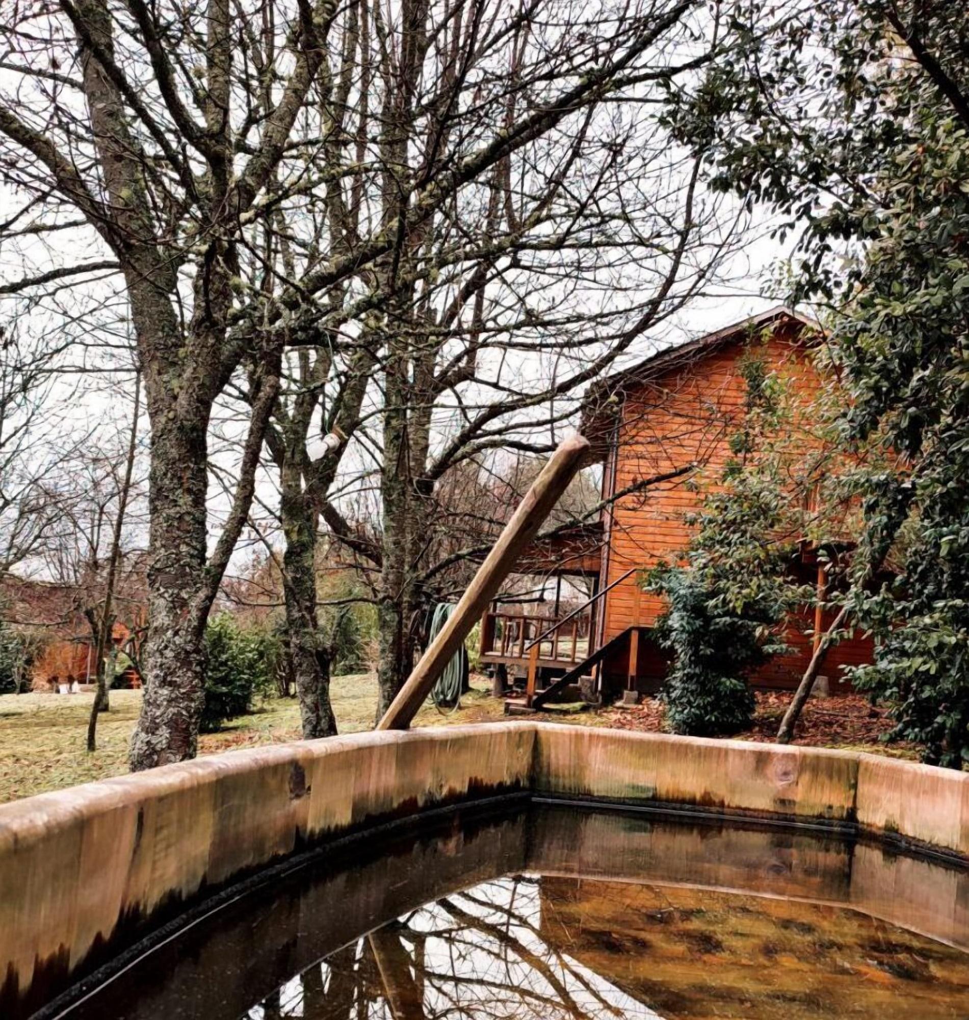 Vista Exterior Puchaley Lafquen