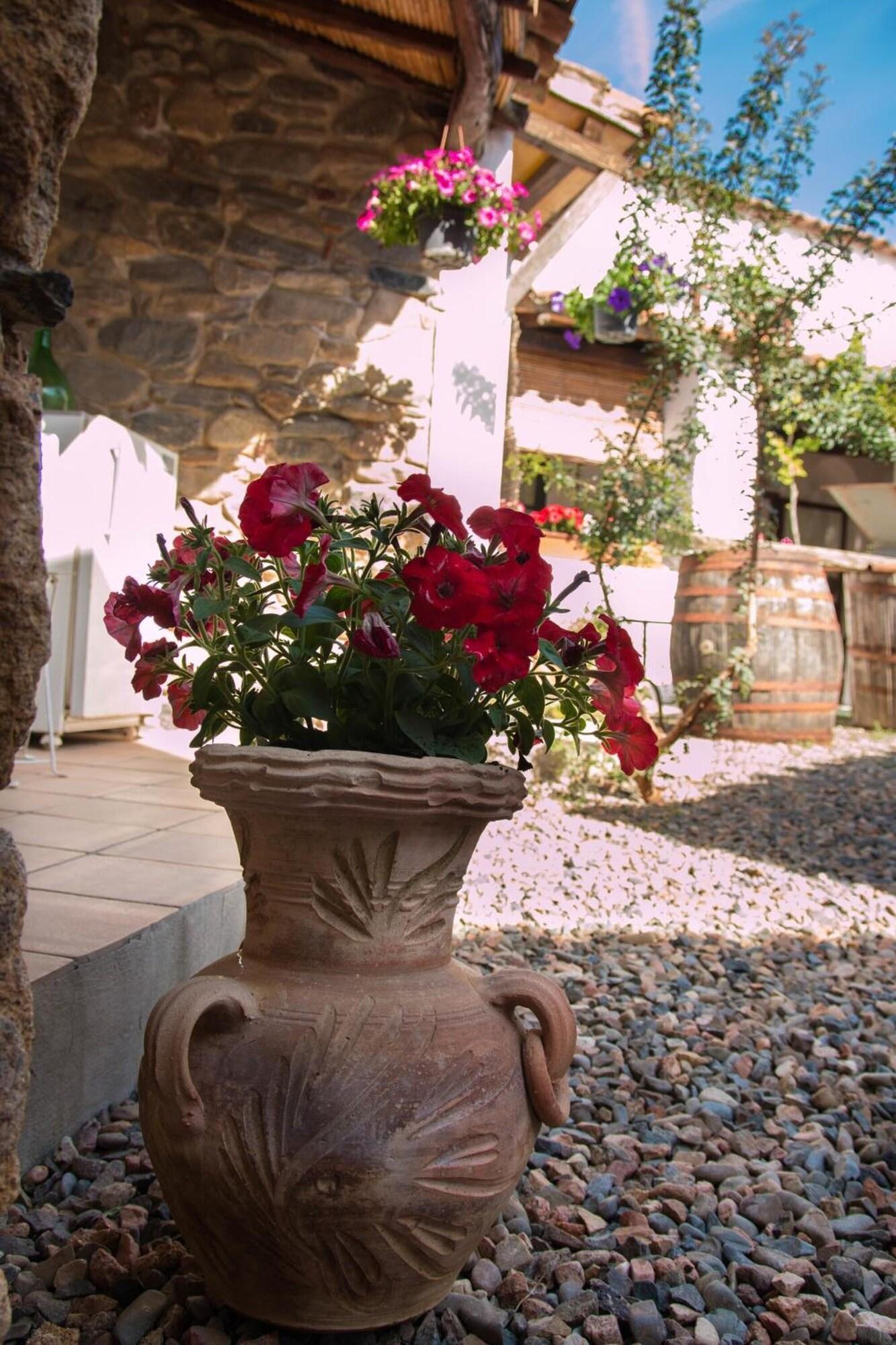 Comodidades del Alojamiento B&B Martina