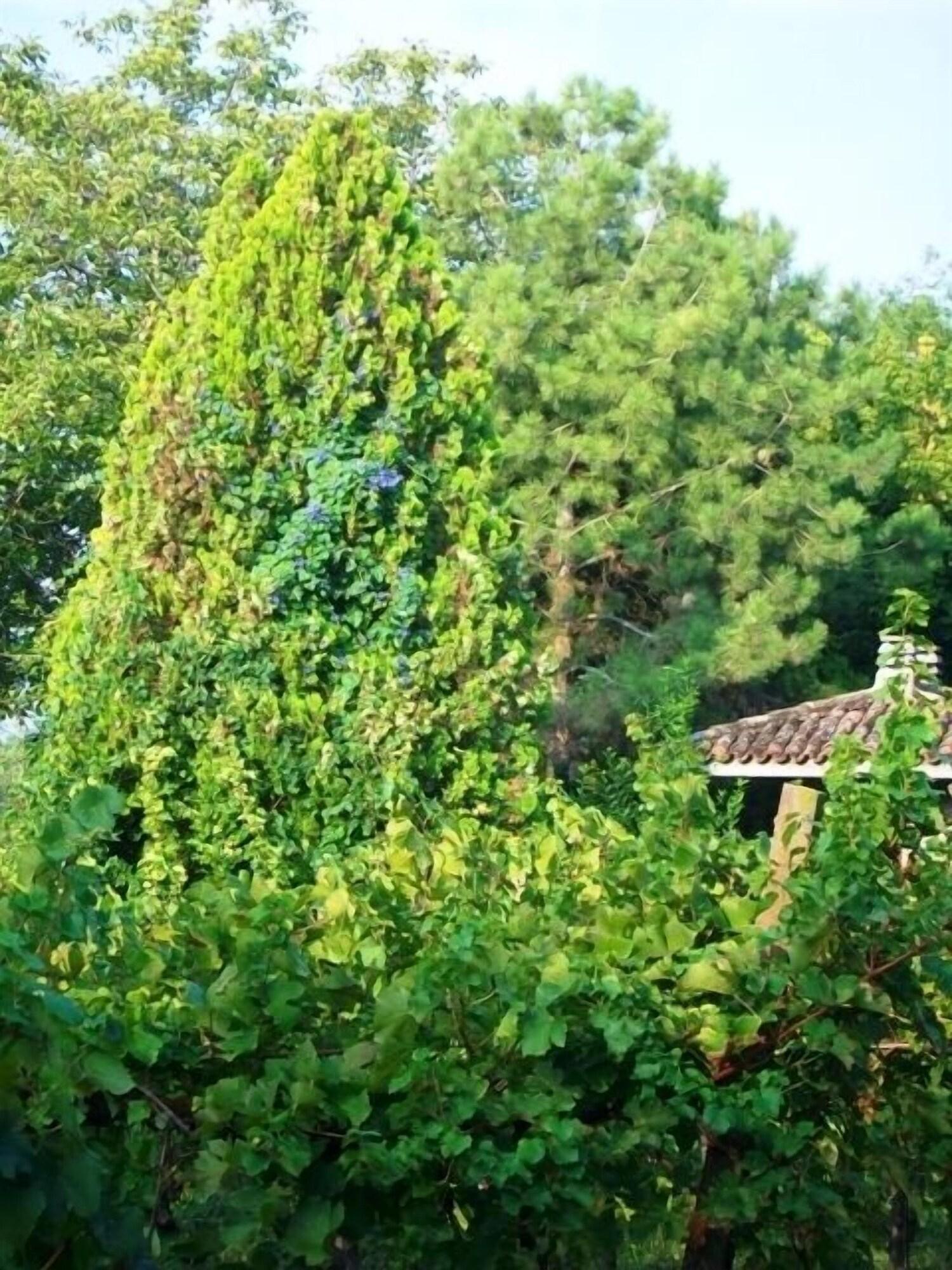 Vista Exterior Agriturismo Radamez