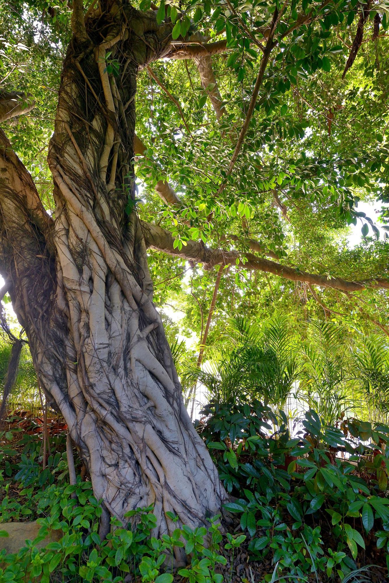 Vista Exterior C&D Hotel Fuzhou