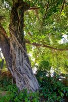 Alojamiento - C&D Hotel Fuzhou