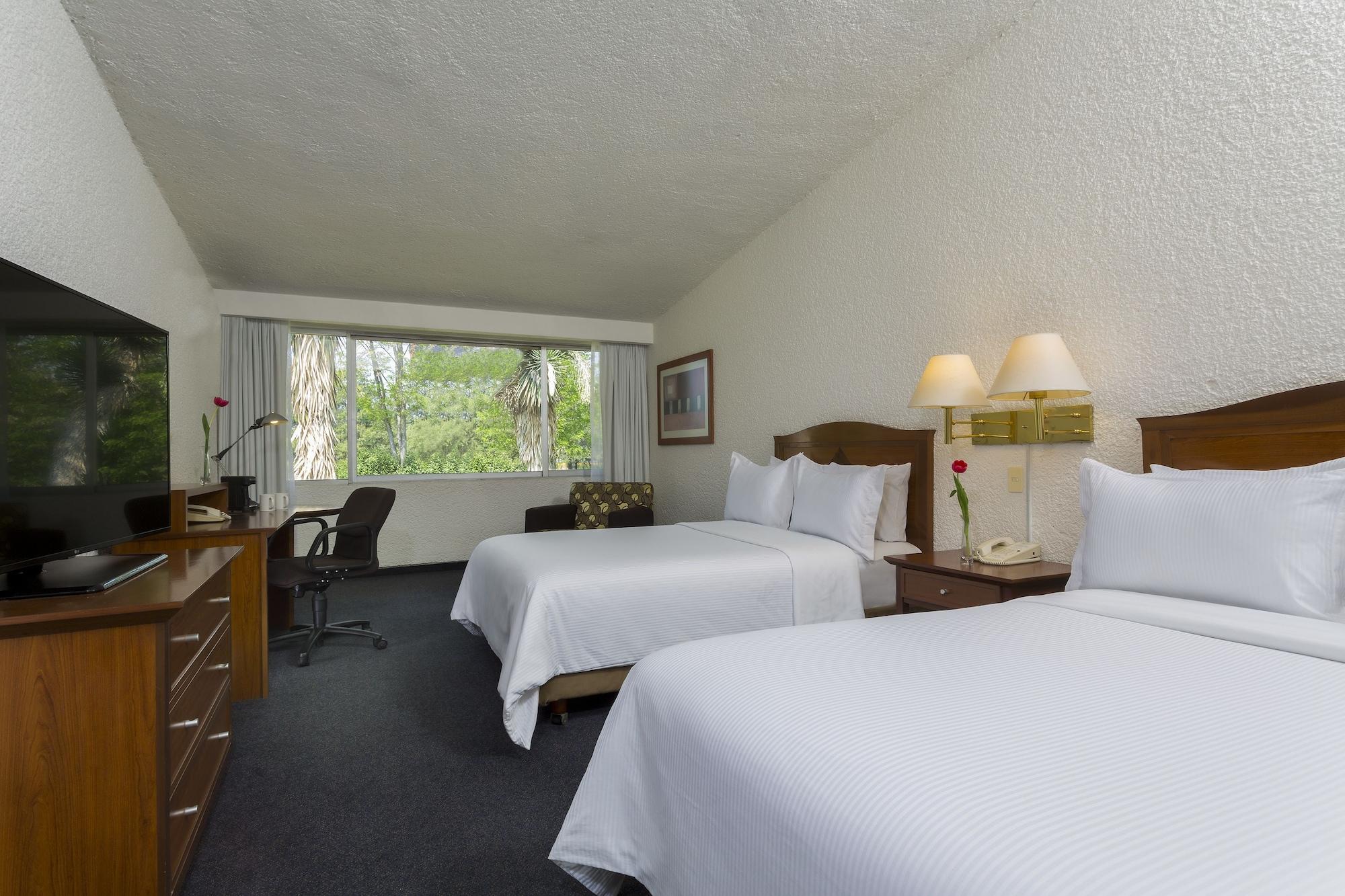 Habitación Gamma Pachuca