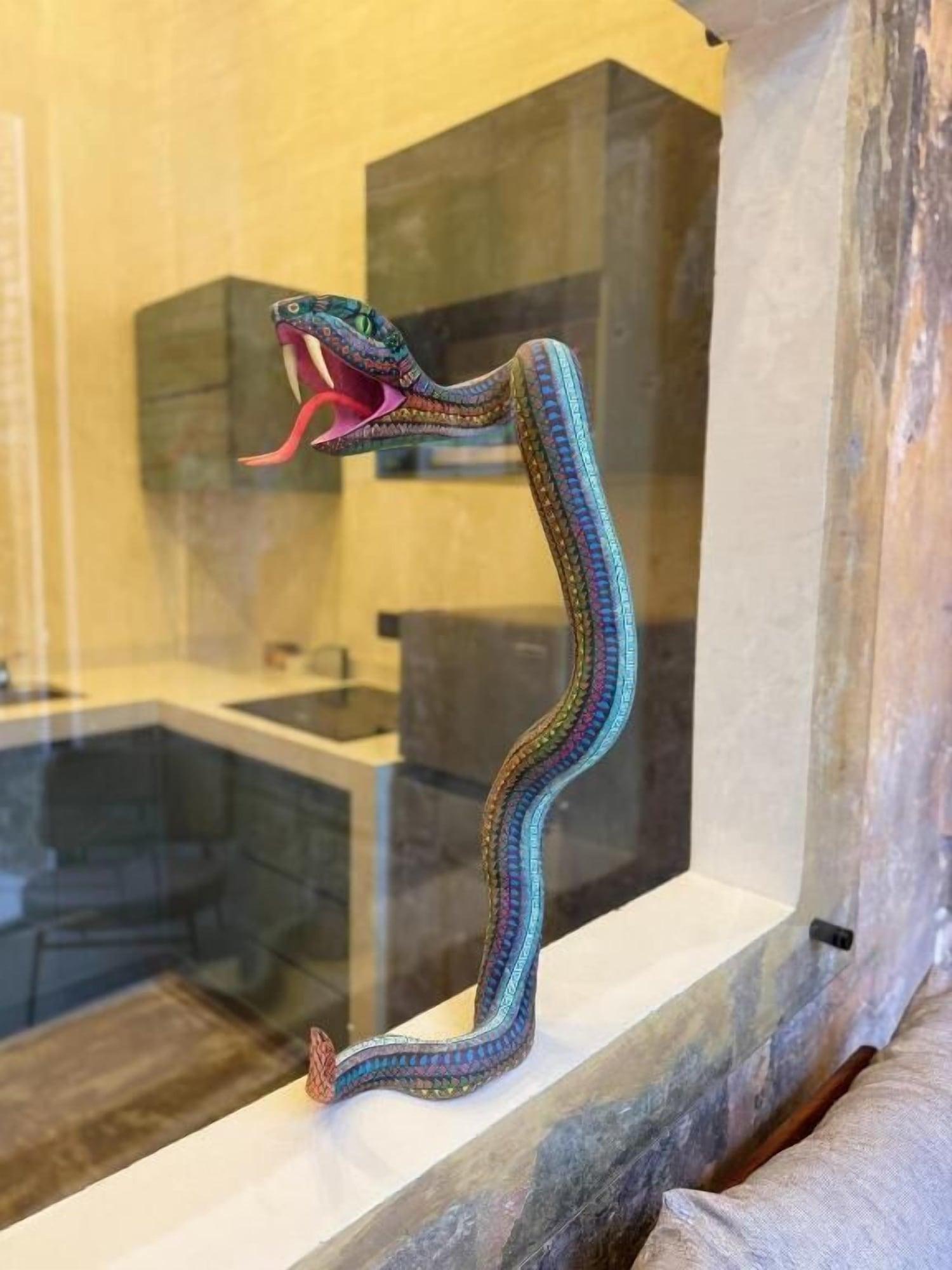 Varios Casa Zamora Coatepec Centro