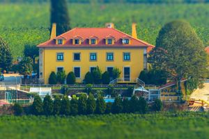Alojamiento - Solar Quinta da Portela