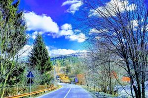 Alojamiento - Casa Octavian