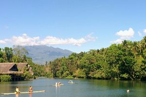 Actividad - Excursión a la plantación Villa Escudero