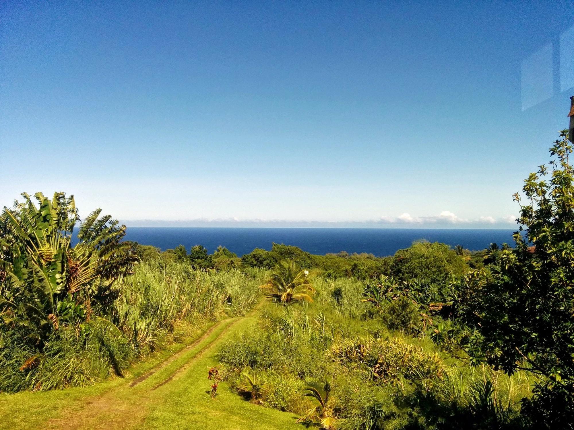 Playa Hamakua Guesthouse