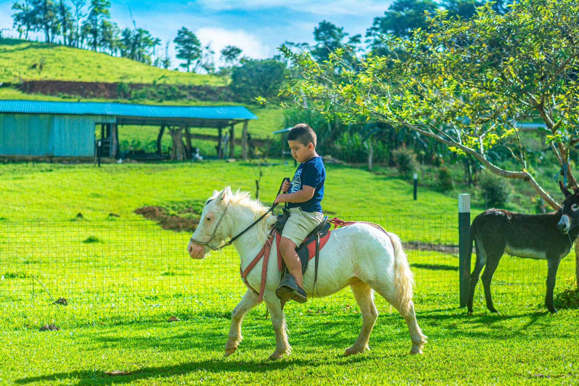 Instalaciones Recreativas Rio Celeste Springs Blue Lodge