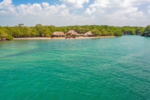 Vuelo - Vuelos a Tolu