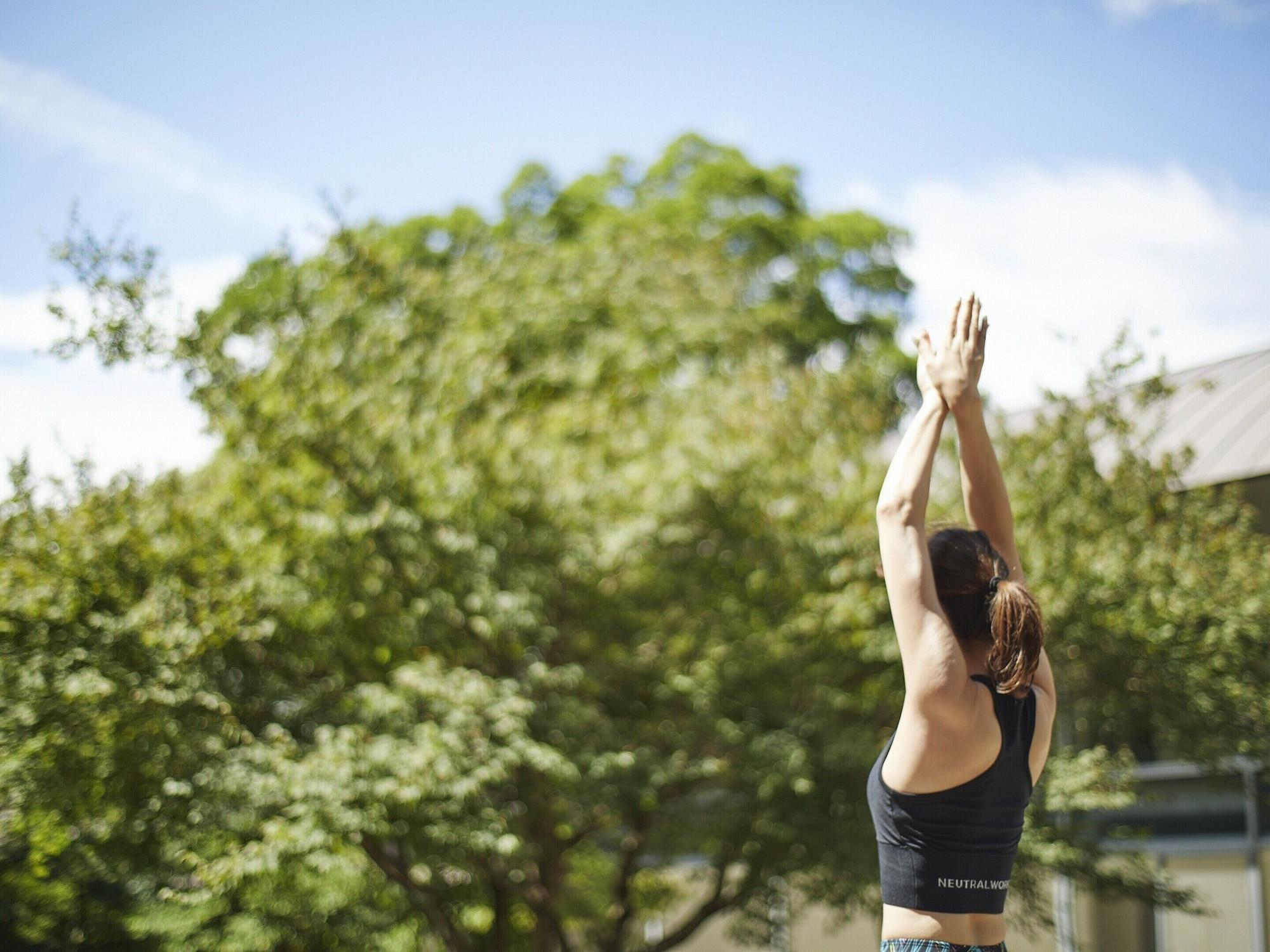 Gimnasio Hakone Retreat villa 1/f