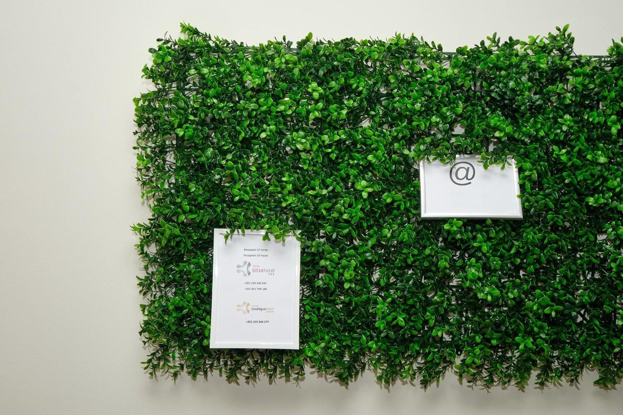 Vista Exterior Sintra Bliss A Part