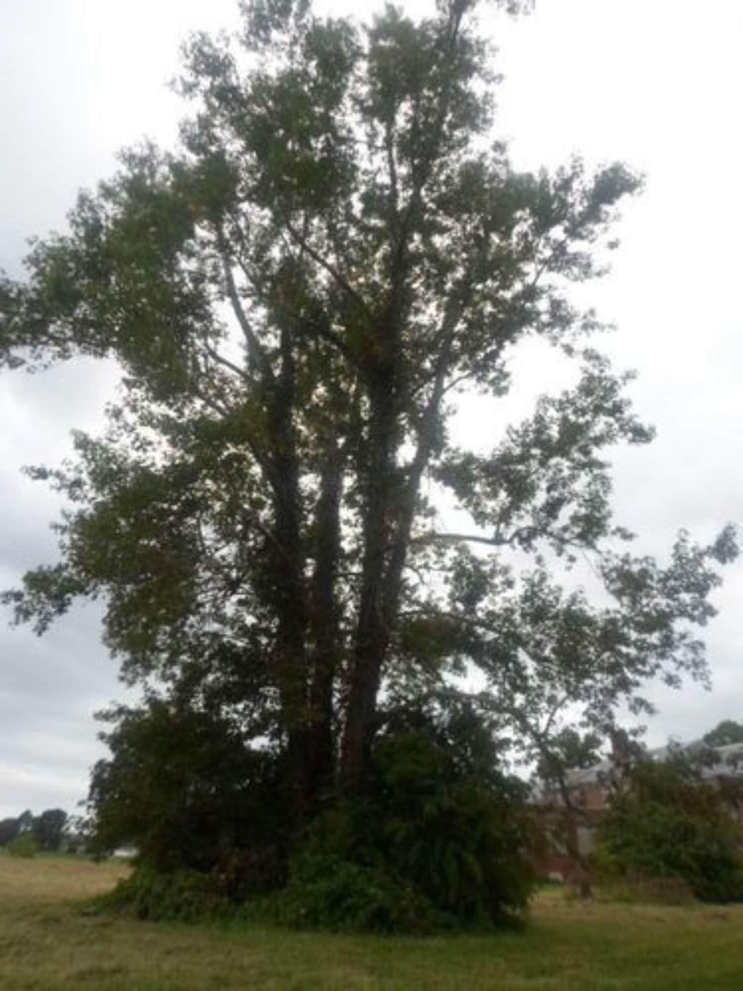 Comodidades del Alojamiento The Teacherage