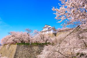 Alojamiento - ANA Crowne Plaza Okayama by IHG