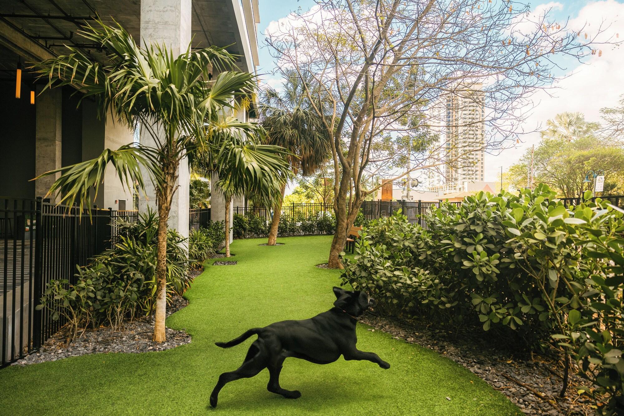 Vista Exterior Flow Fort Lauderdale Hotel