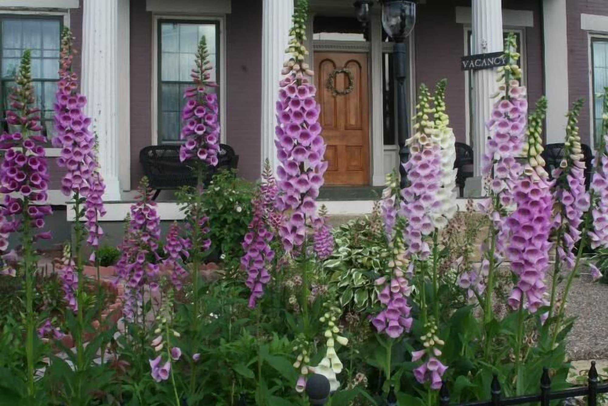 Varios Annie Wiggins Guest House