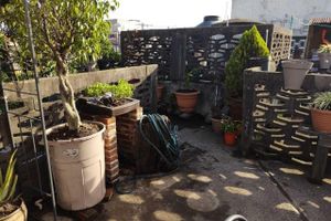 Alojamiento - Habitaciones Eco-Terrazas