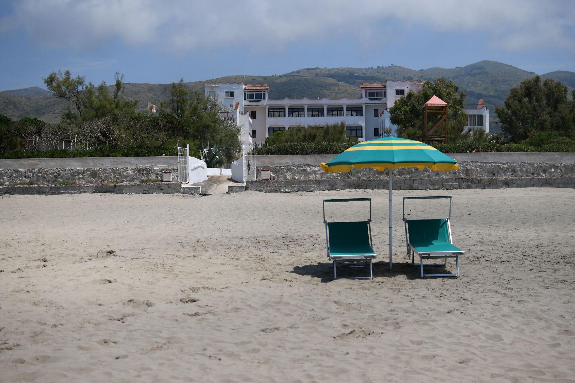 Playa International Resort