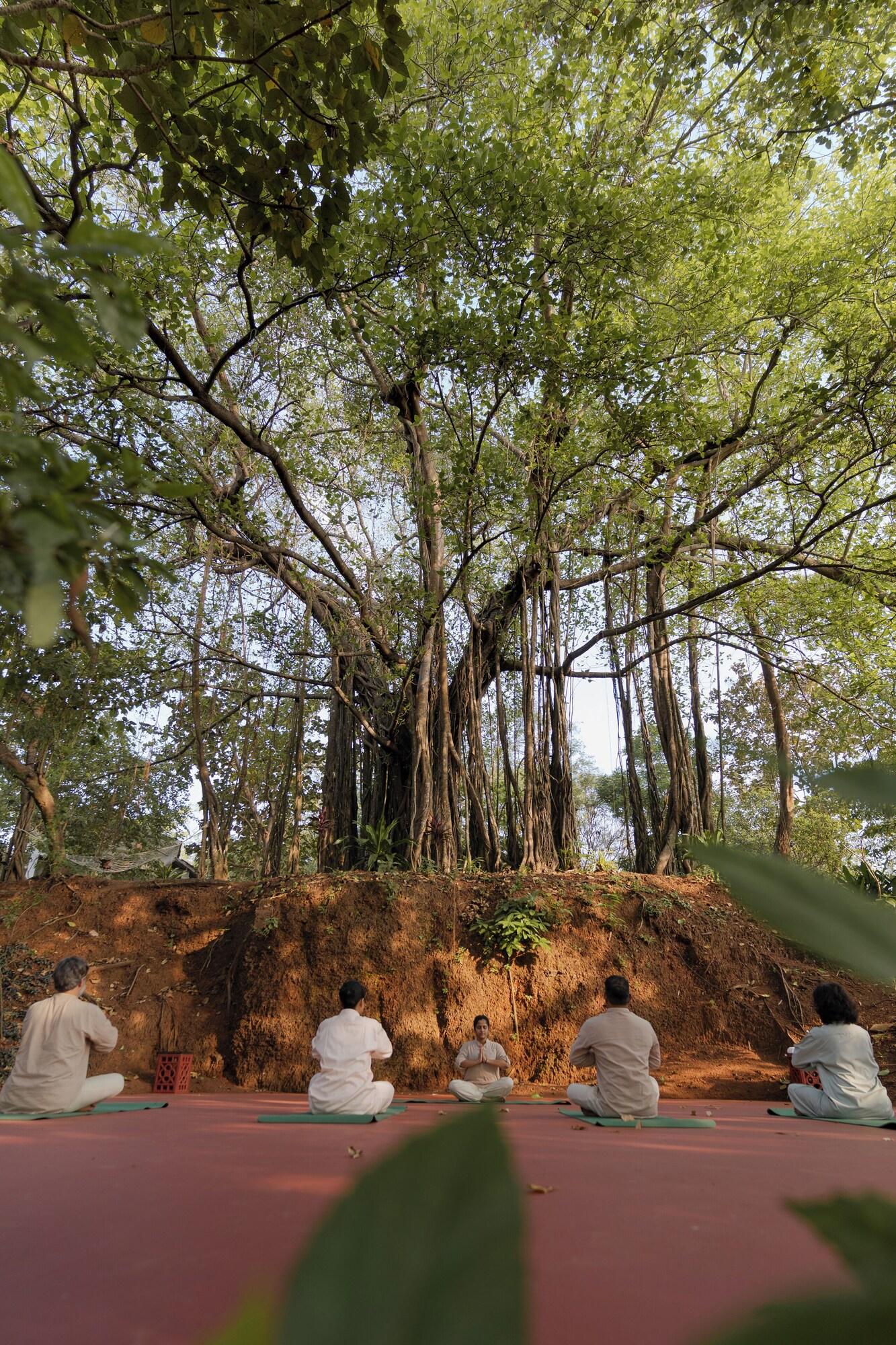 Gimnasio The Postcard Ayurveda Retreat - A Sitaram Ayurveda Experience