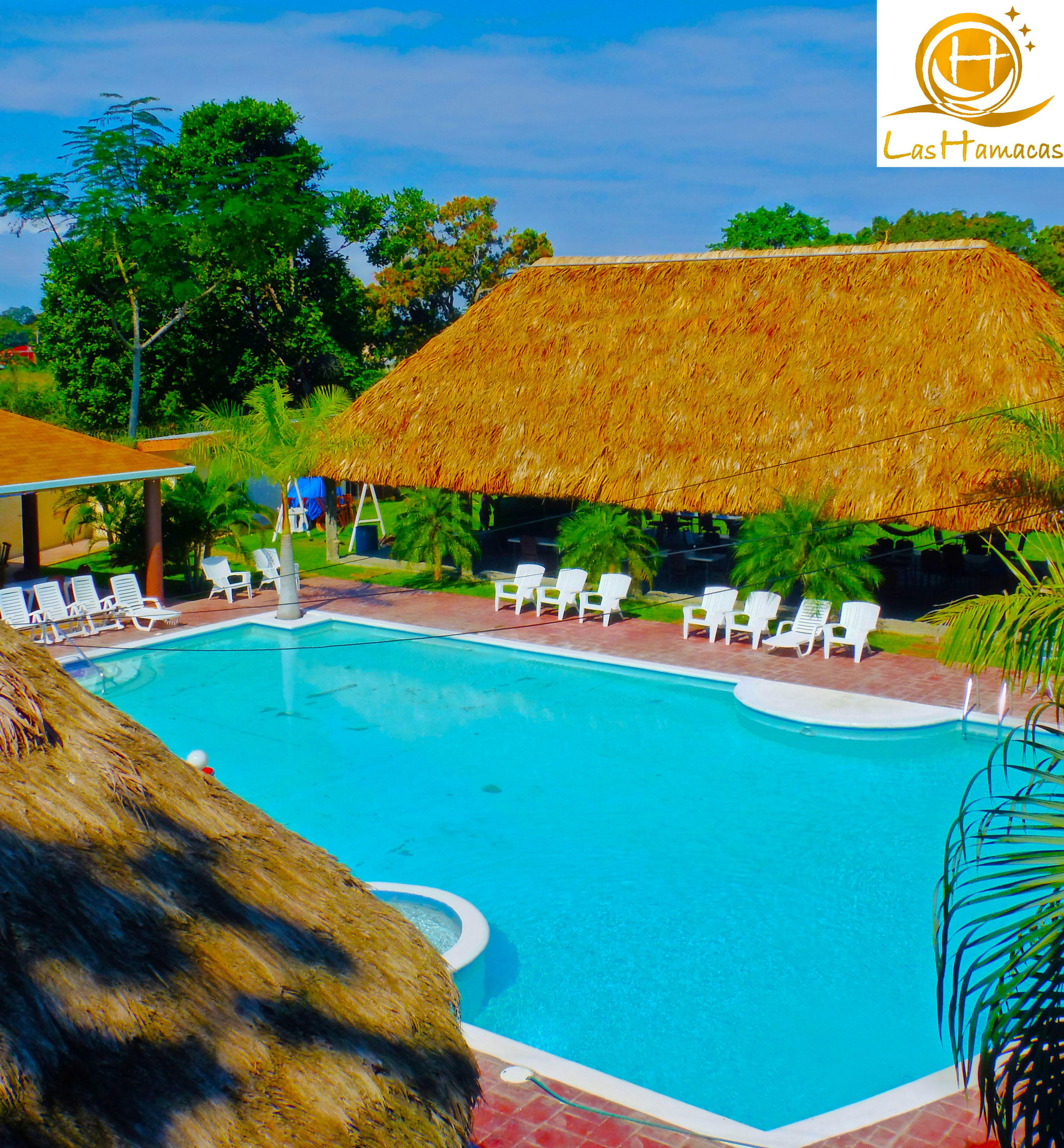 Vista Piscina Hotel Las Hamacas
