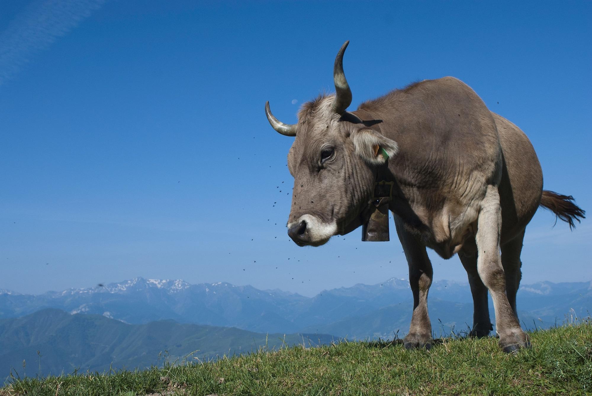 Equipamiento de Habitación Posada Villa Esperanza