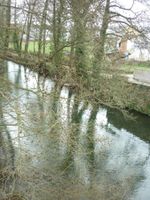 Alojamiento - Pensión Albergue Puente Ribeira - Hostel