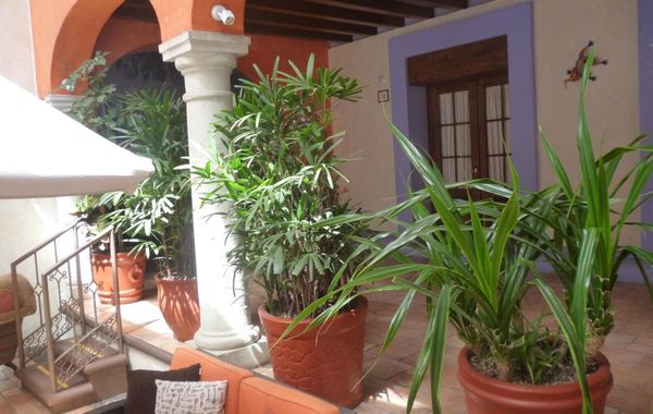 Hotel Trebol