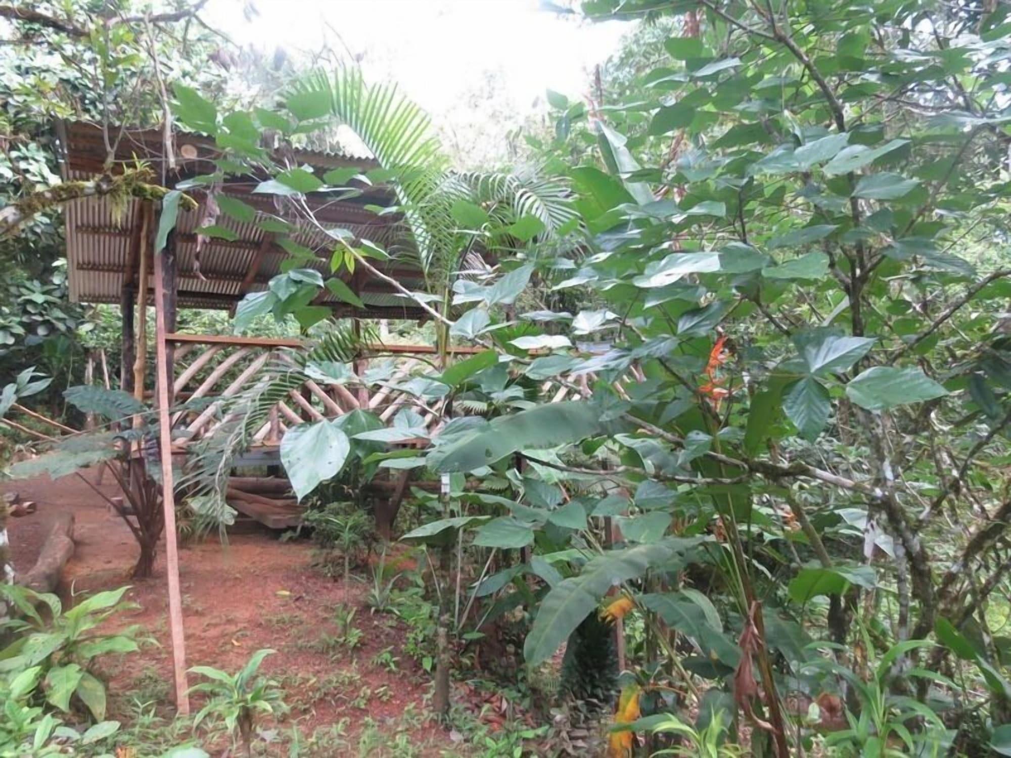 Vista Exterior Bromelias Corcovado Apartments