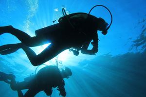 Actividad - Curso de buceo PADI Open Water