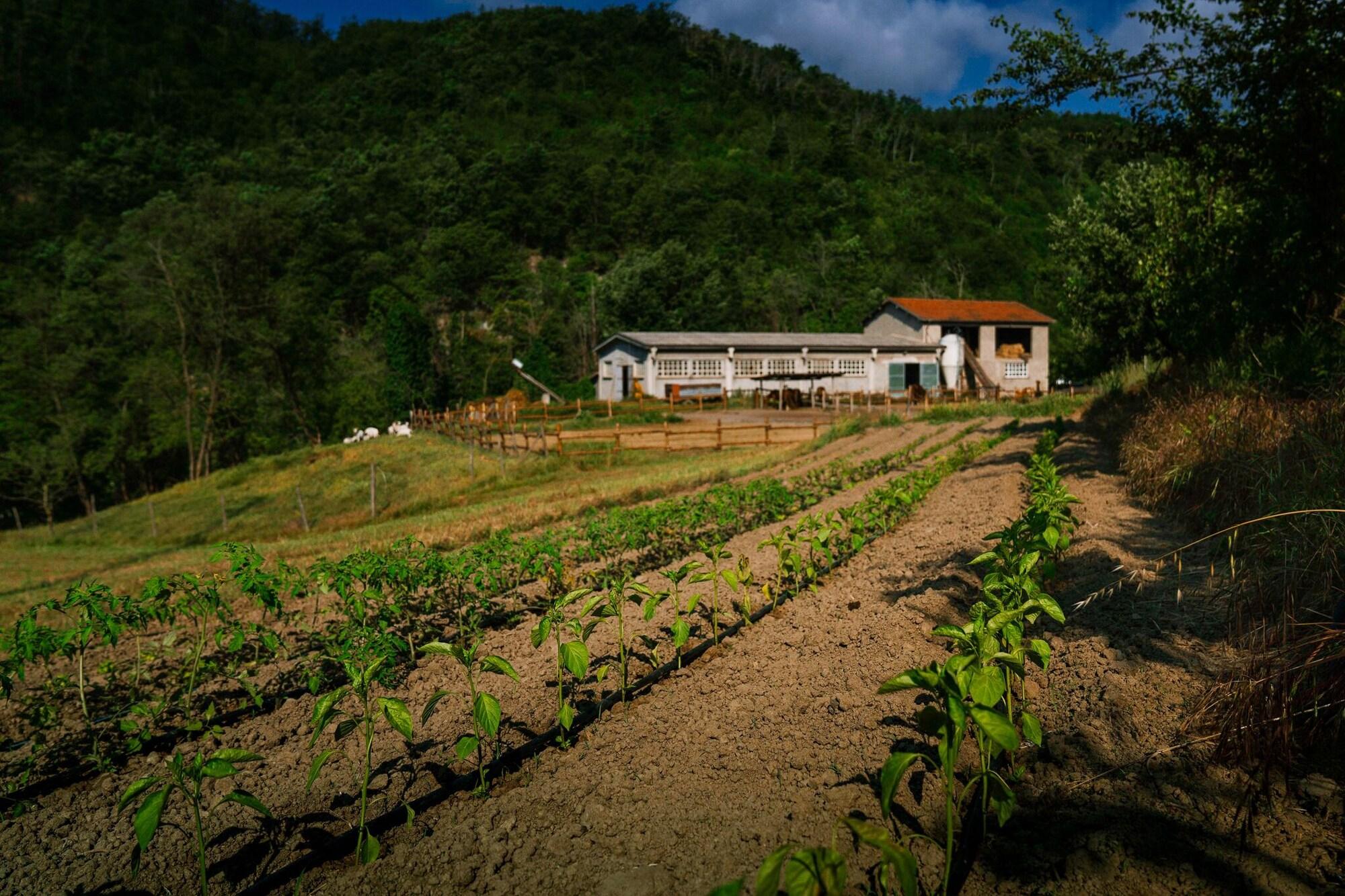 Instalaciones Recreativas Cascina del Vai
