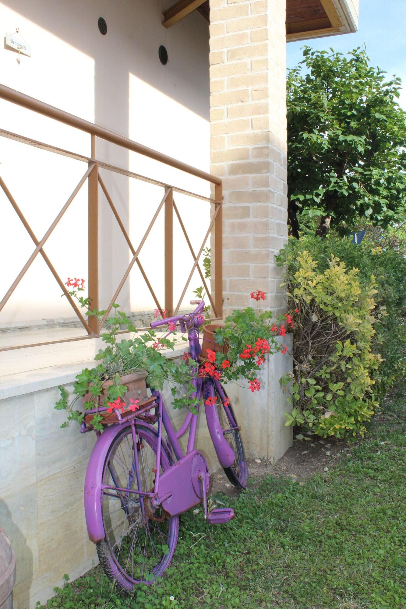 Varios Alle Terme B&B