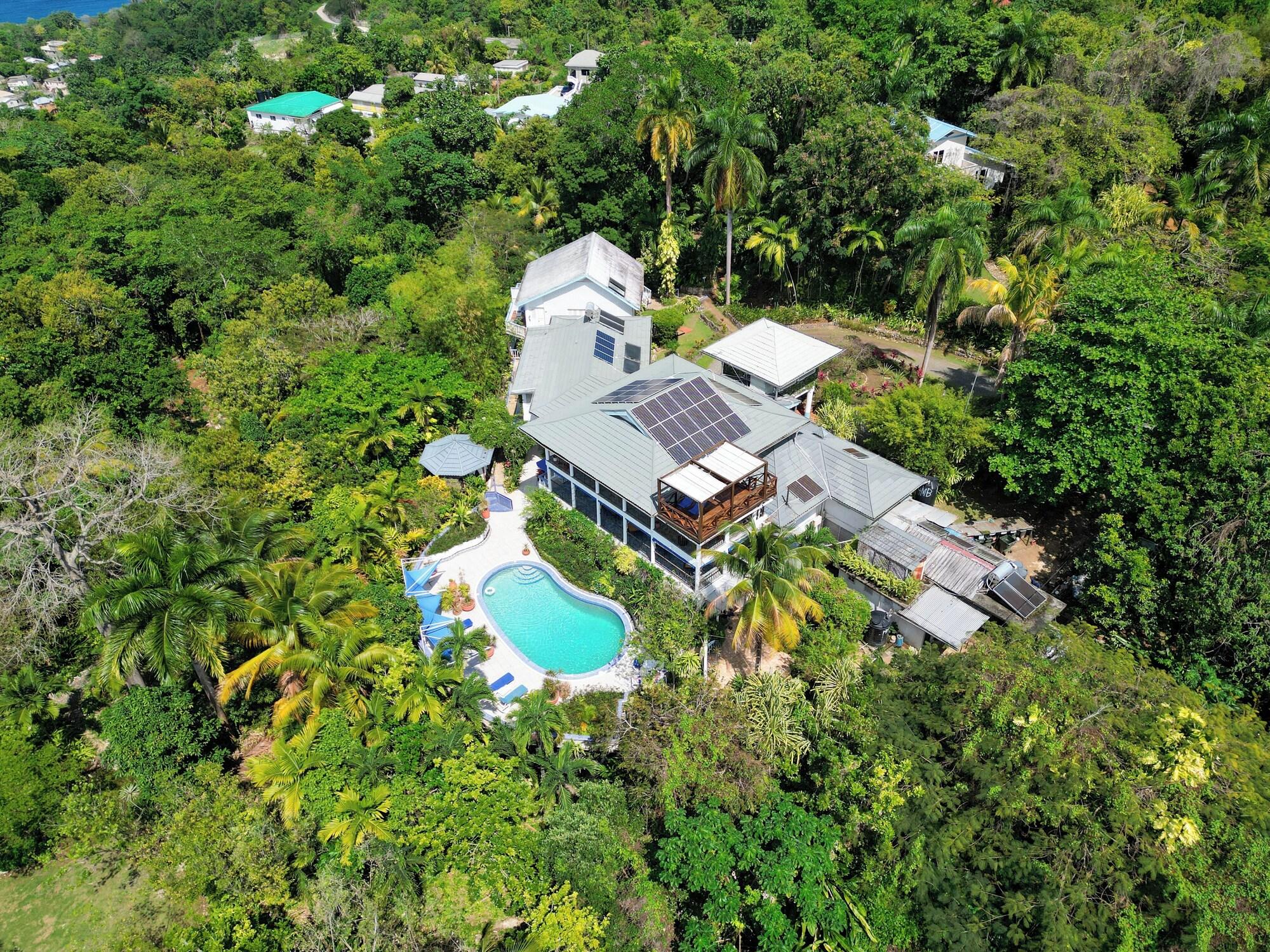 Varios LF Jungle Retreat