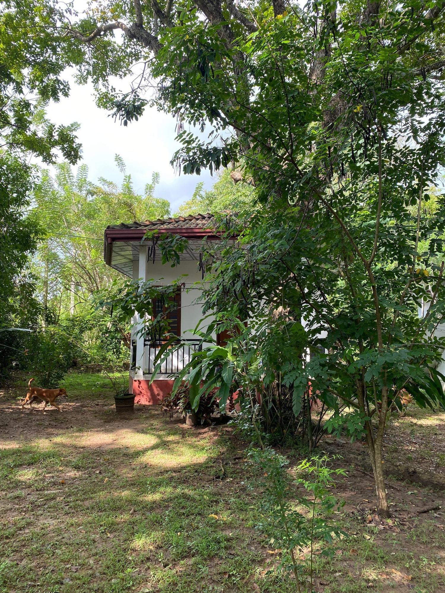 Vista Exterior Calm Garden Cabanas