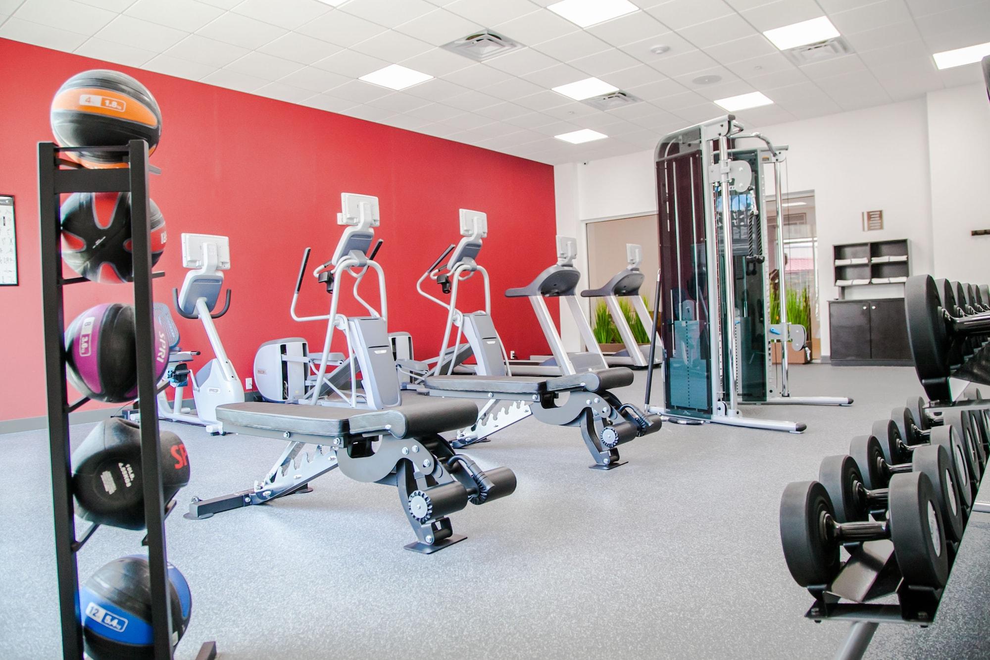 Gimnasio Hilton Garden Inn Tampa Suncoast Parkway