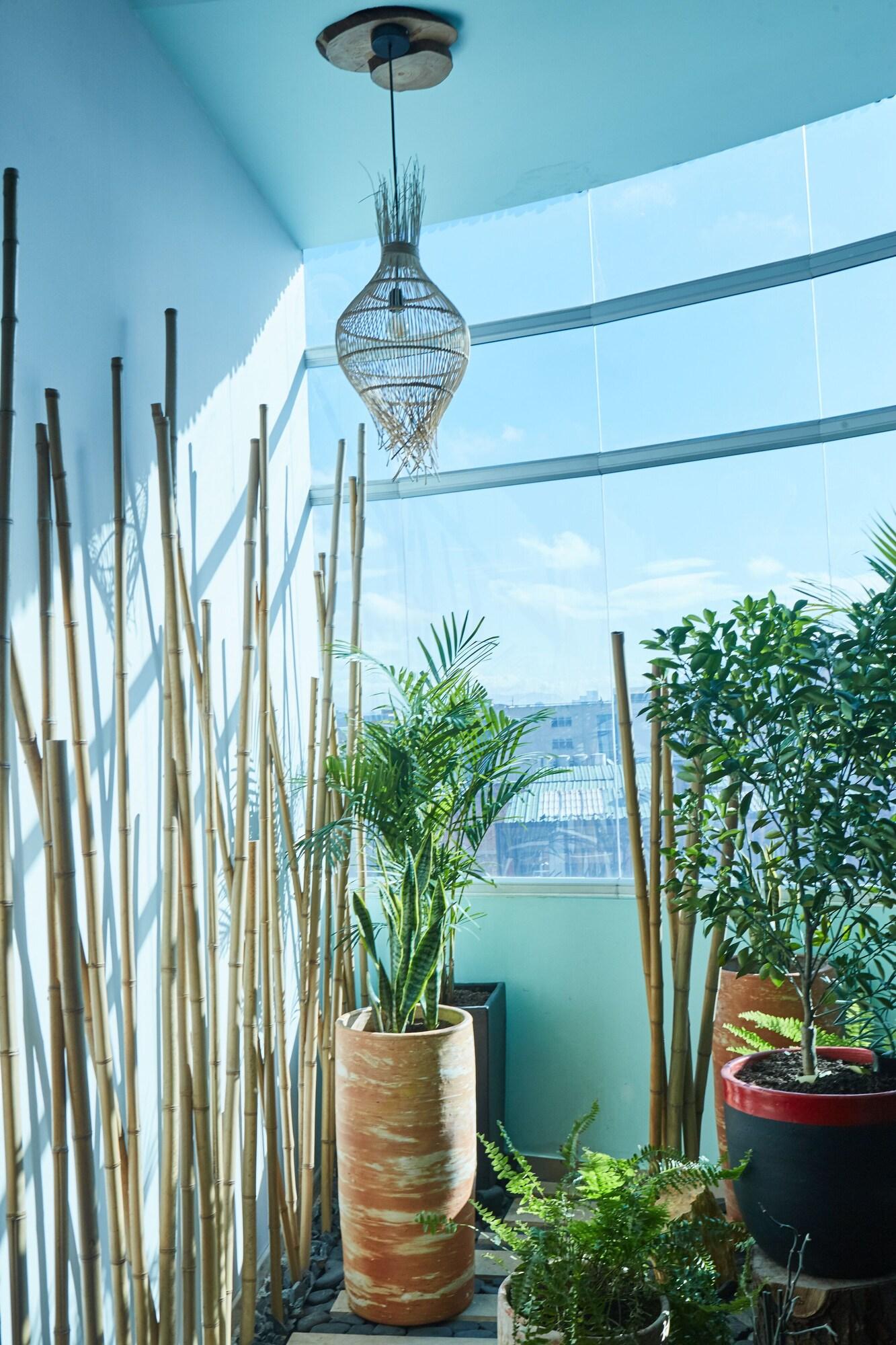 Comodidades del Alojamiento Zensual