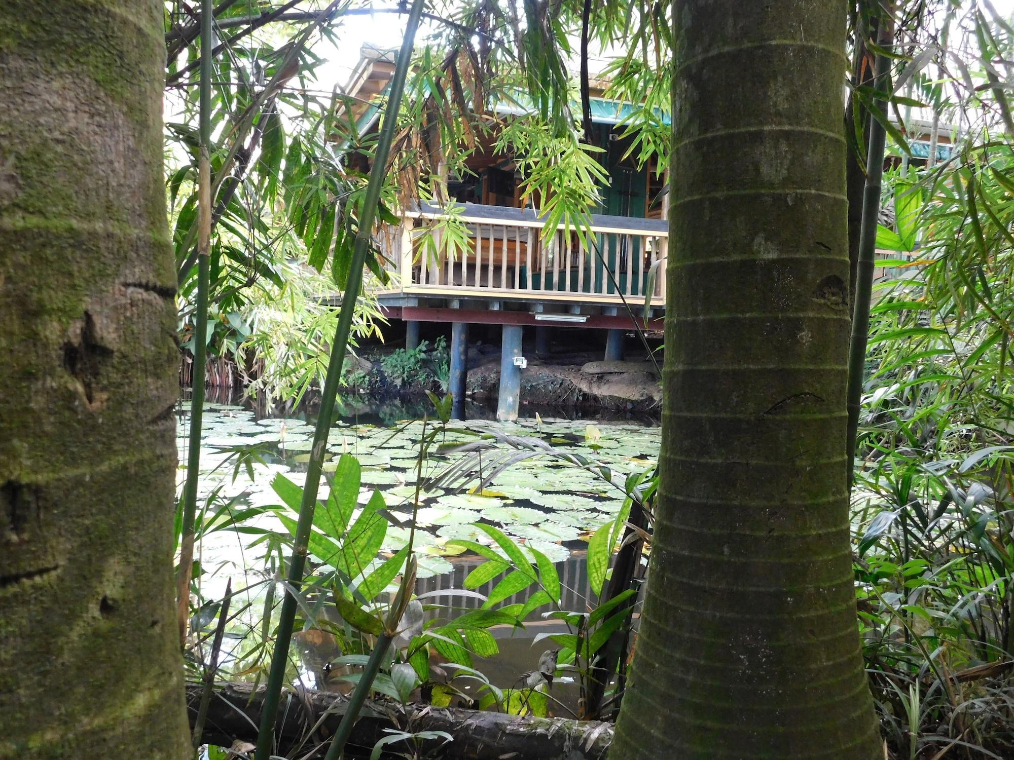 Vista Exterior Rainforest Eco Lodge