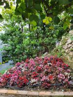 Alquiler Vacacional - BEAUTIFUL SEA VIEW - free parking - free wifi