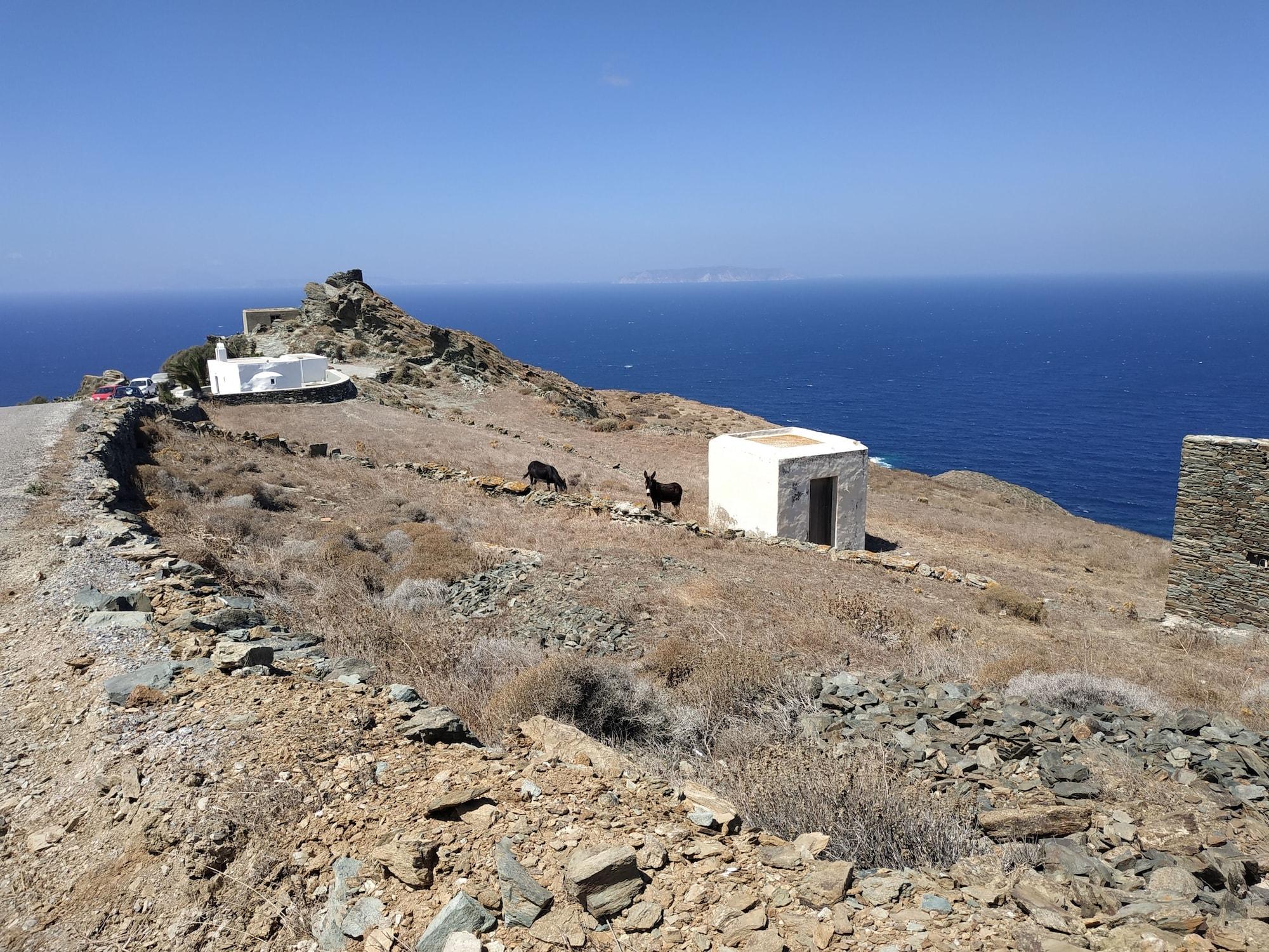Playa Lemon Tree Houses