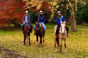 Actividad - Paseo a caballo por la Estancia Villa María