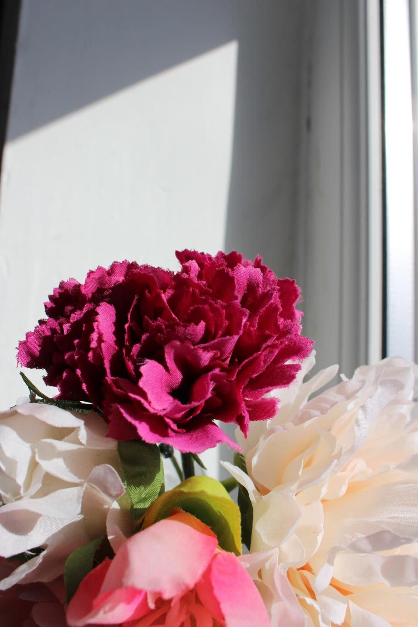 Comodidades del Alojamiento Park Lane Heights