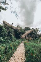 Alojamiento - Shiva Village